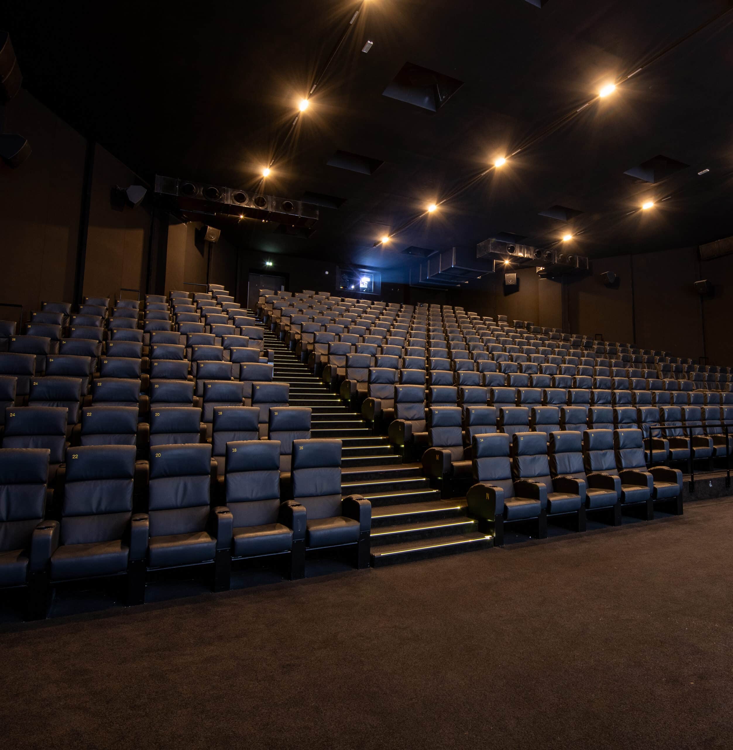 Grande salle de cinéma équipée de fauteuils en cuir noir et de la technologie Dolby.