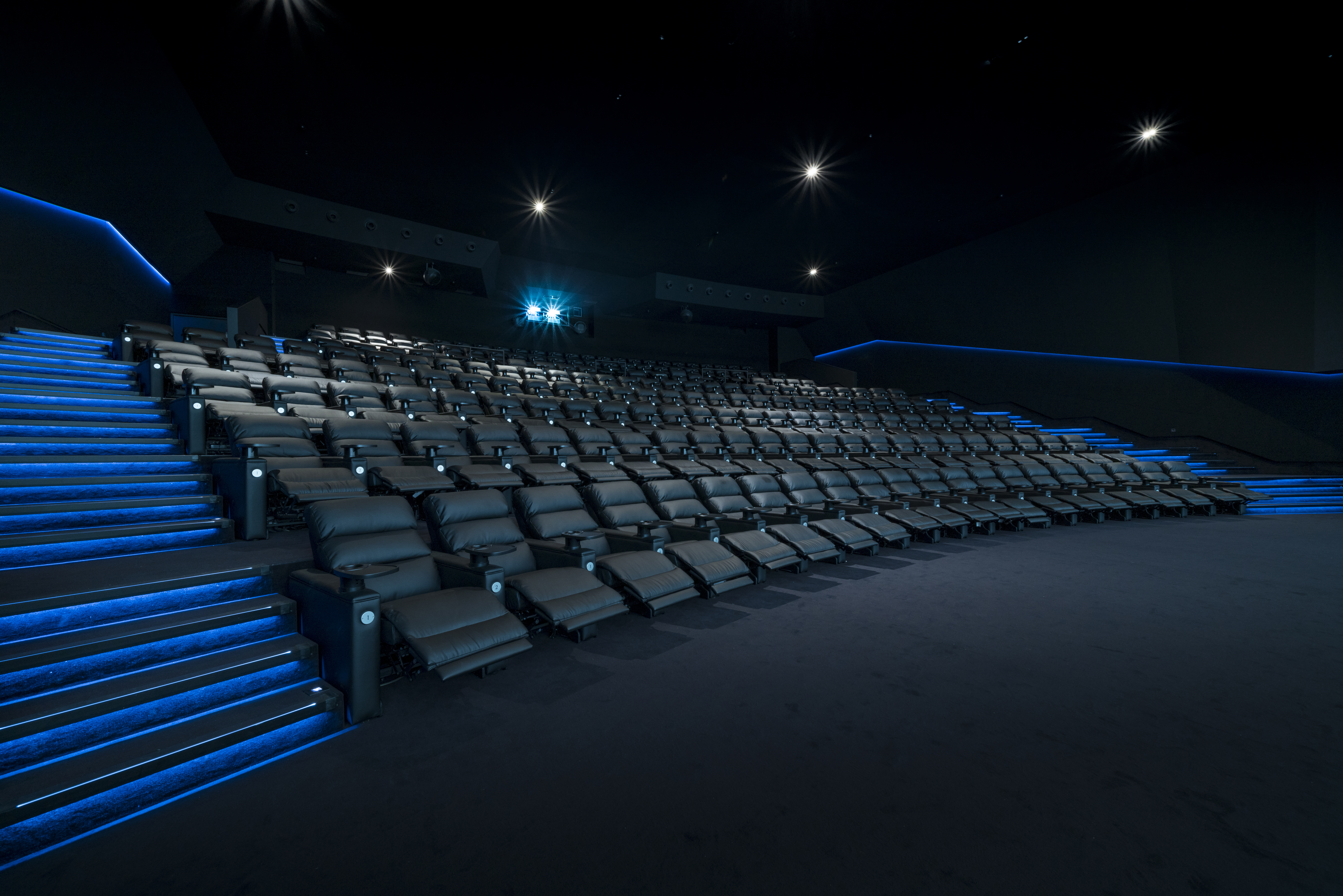 Grande salle de cinéma équipée de fauteuils en cuir noir et de la technologie Dolby.