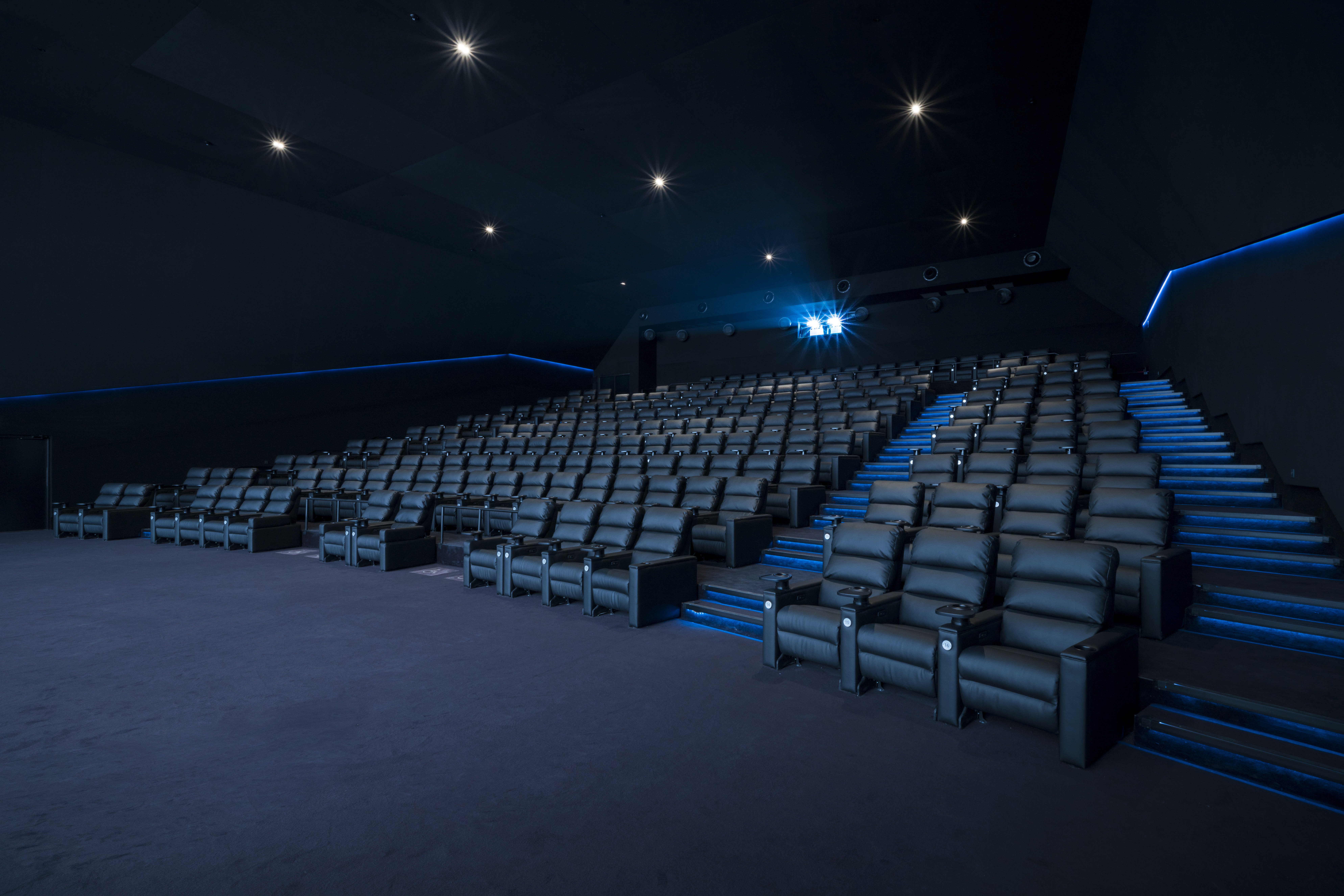 Grande salle de cinéma équipée de fauteuils en cuir noir et de la technologie Dolby.