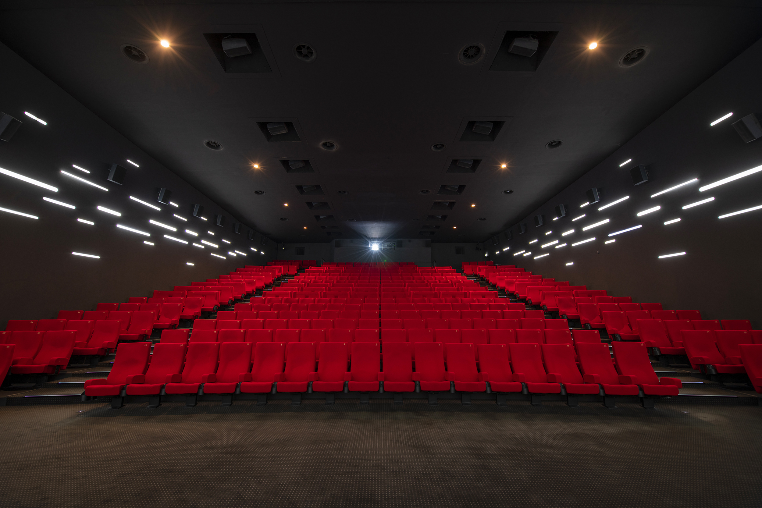 Vu d'ensemble de face d'une grande salle avec ses fauteuils en velours rouge.