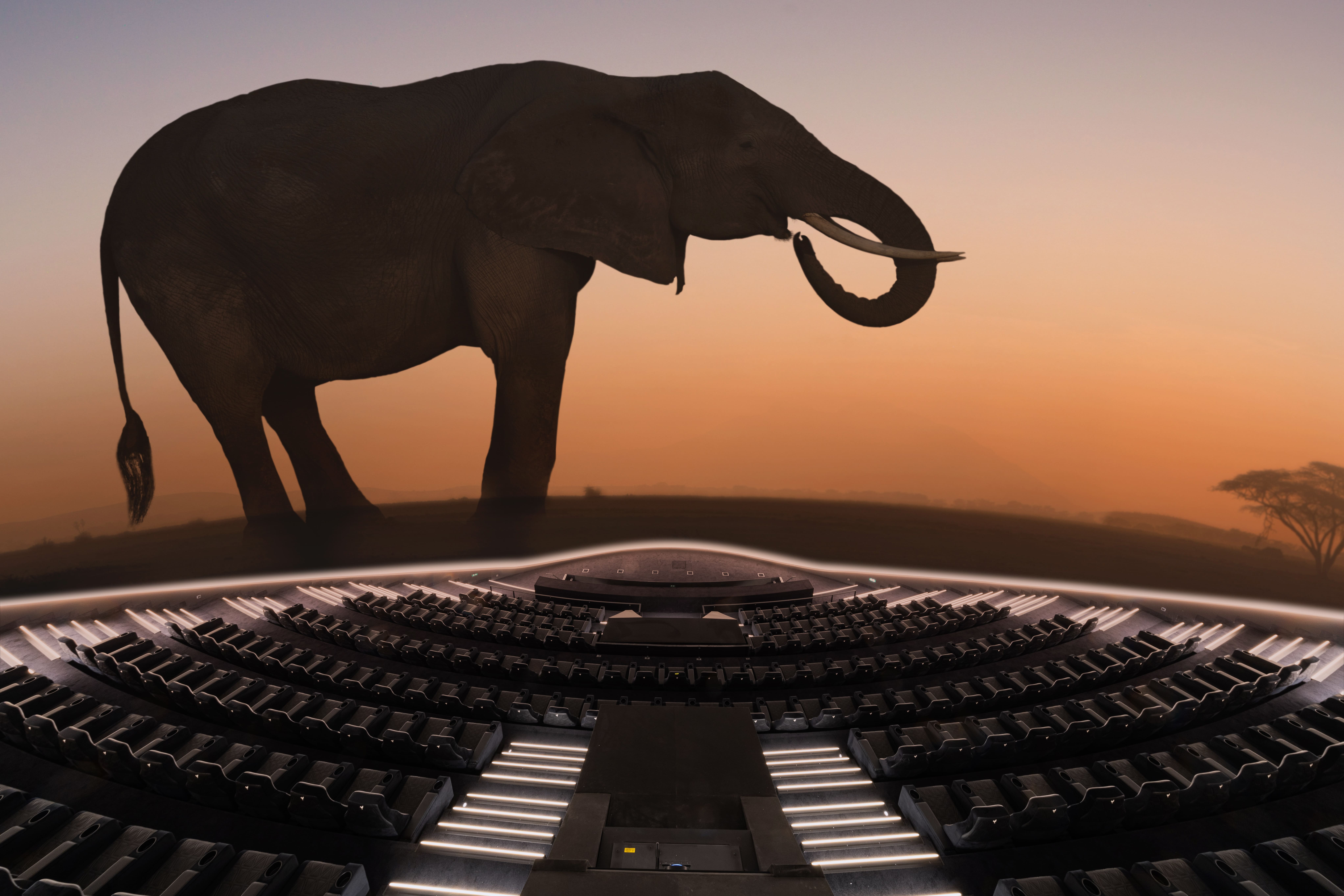 Vue plongeante sur l'auditorium de la Géode avec la projection d'un documentaire animalier sur le grand écran.
