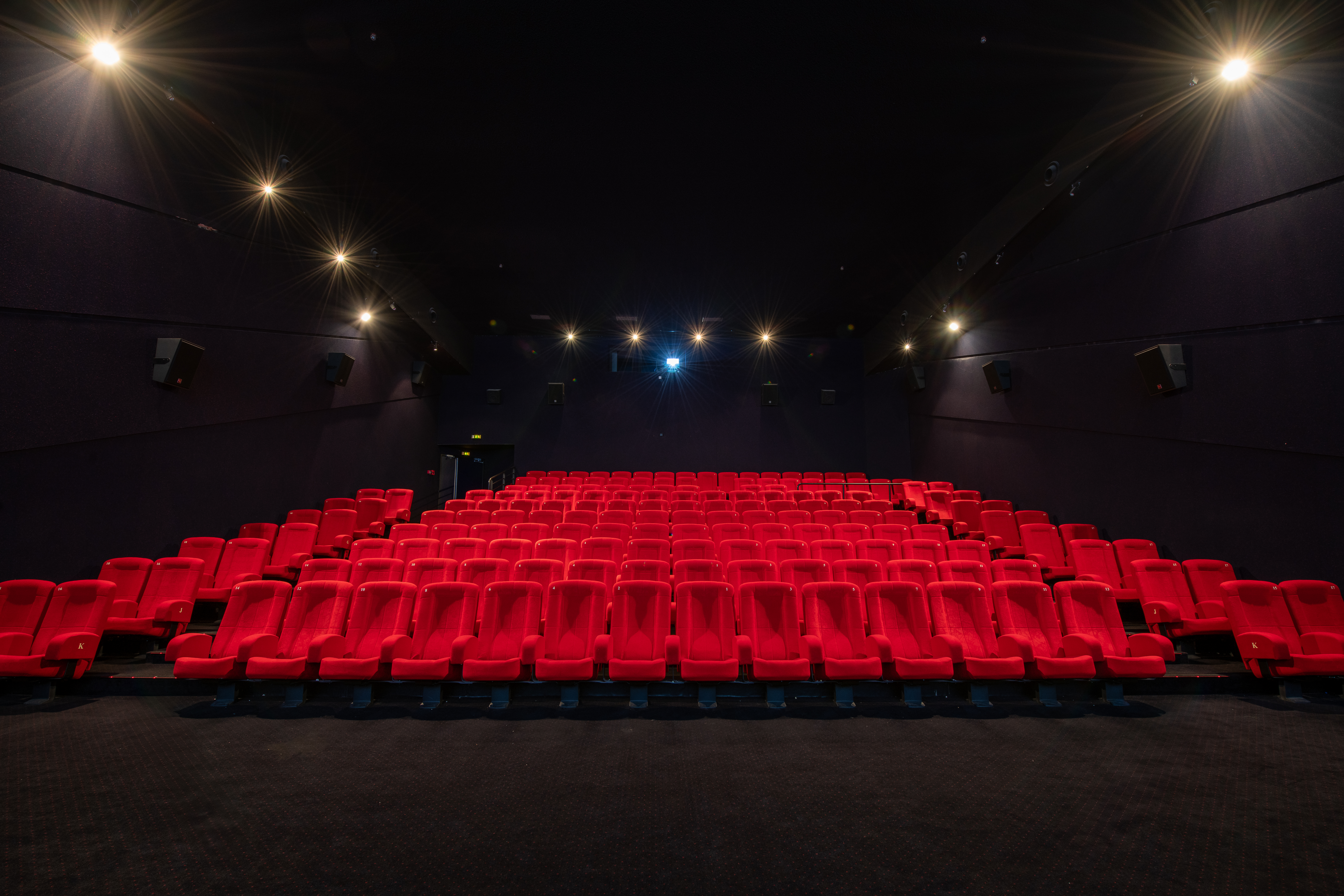 Vu d'ensemble de face d'une grande salle avec ses fauteuils en velours rouge.
