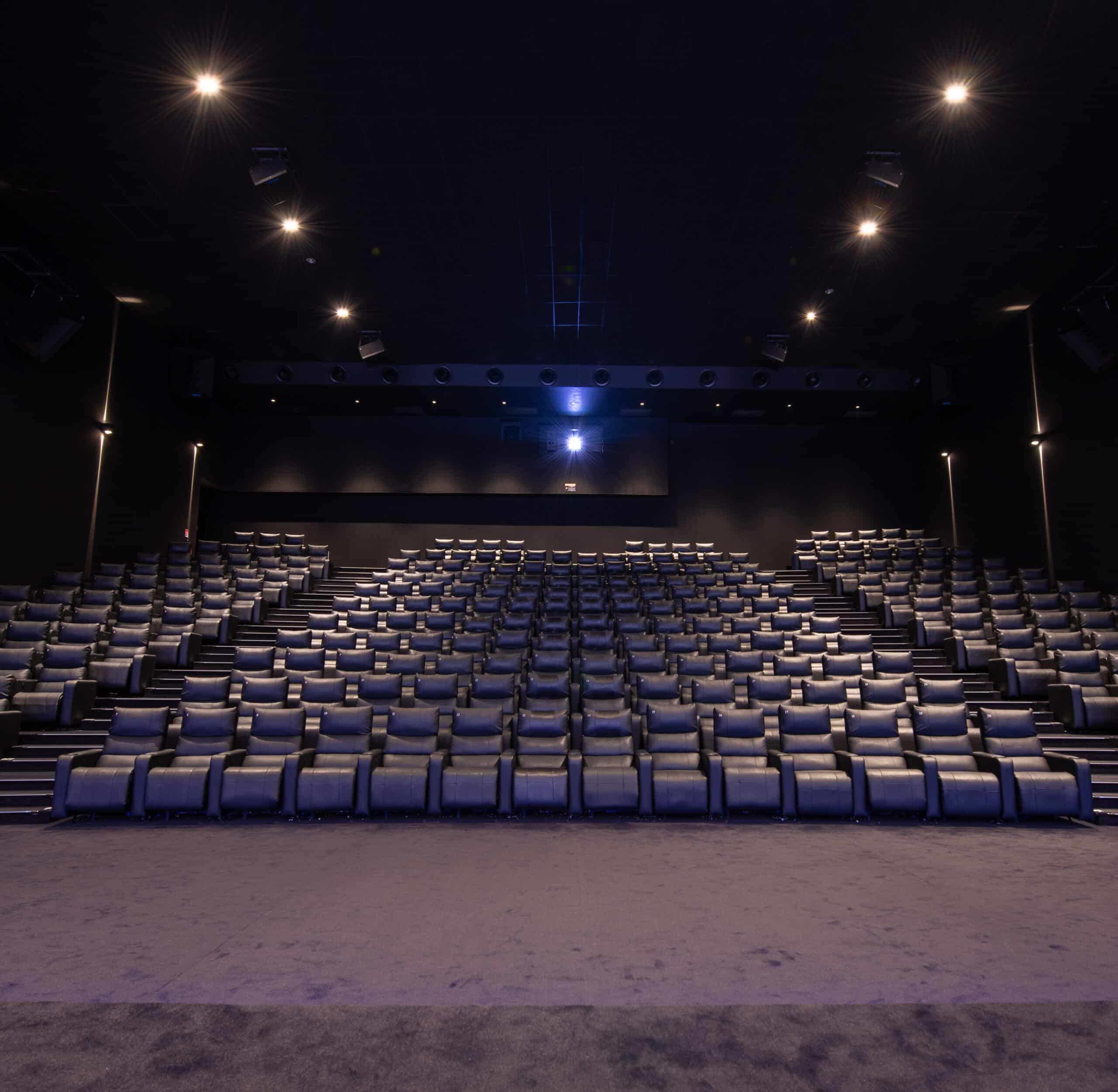 Grande salle de cinéma équipée de fauteuils en cuir noir et de la technologie Dolby.