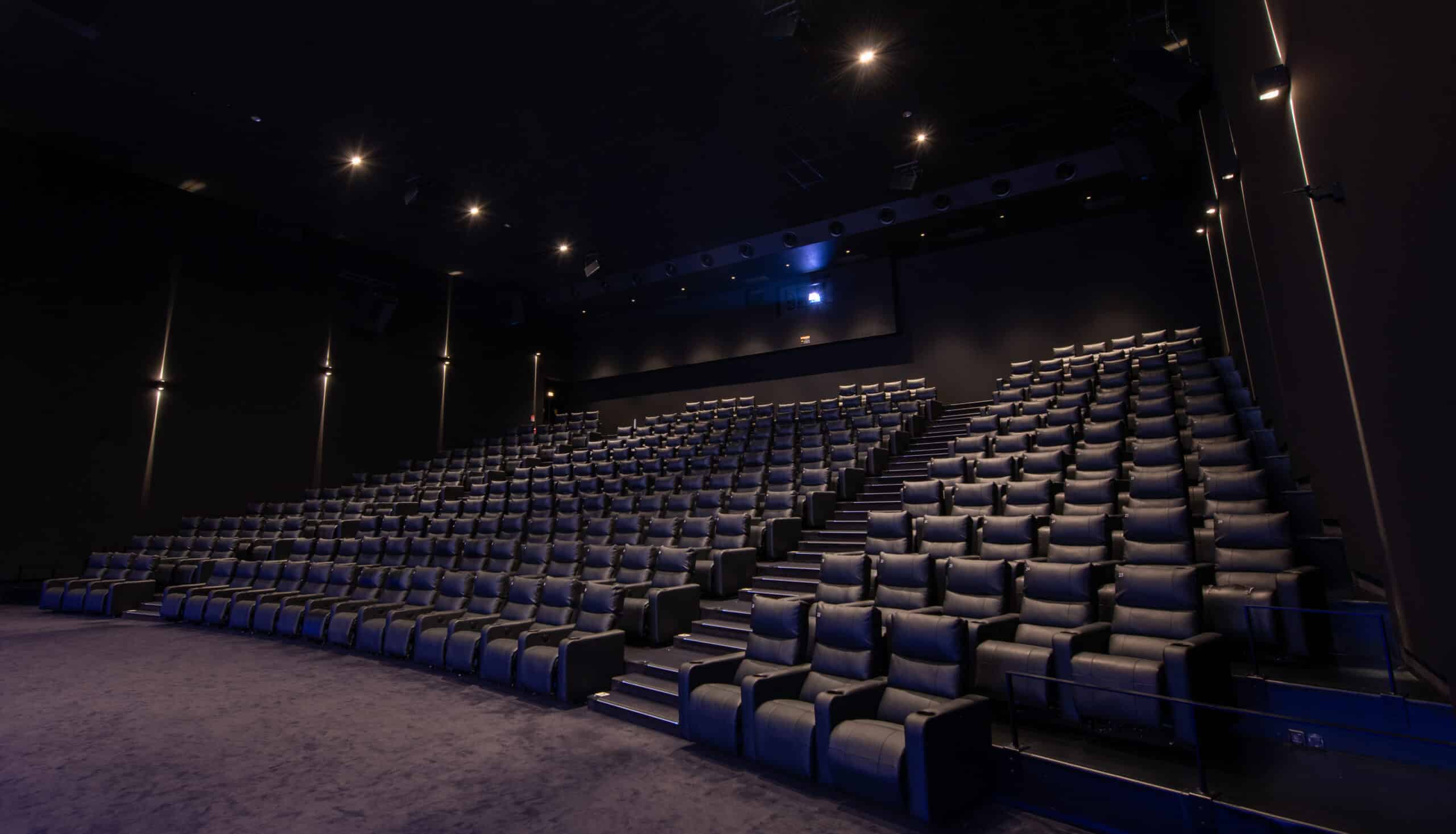 Grande salle de cinéma équipée de fauteuils en cuir noir et de la technologie Dolby.