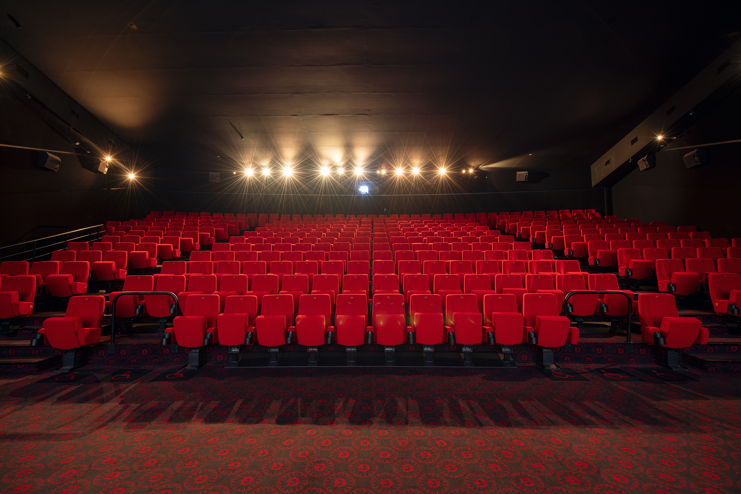 Vu d'ensemble de face d'une grande salle avec ses fauteuils en velours rouge.