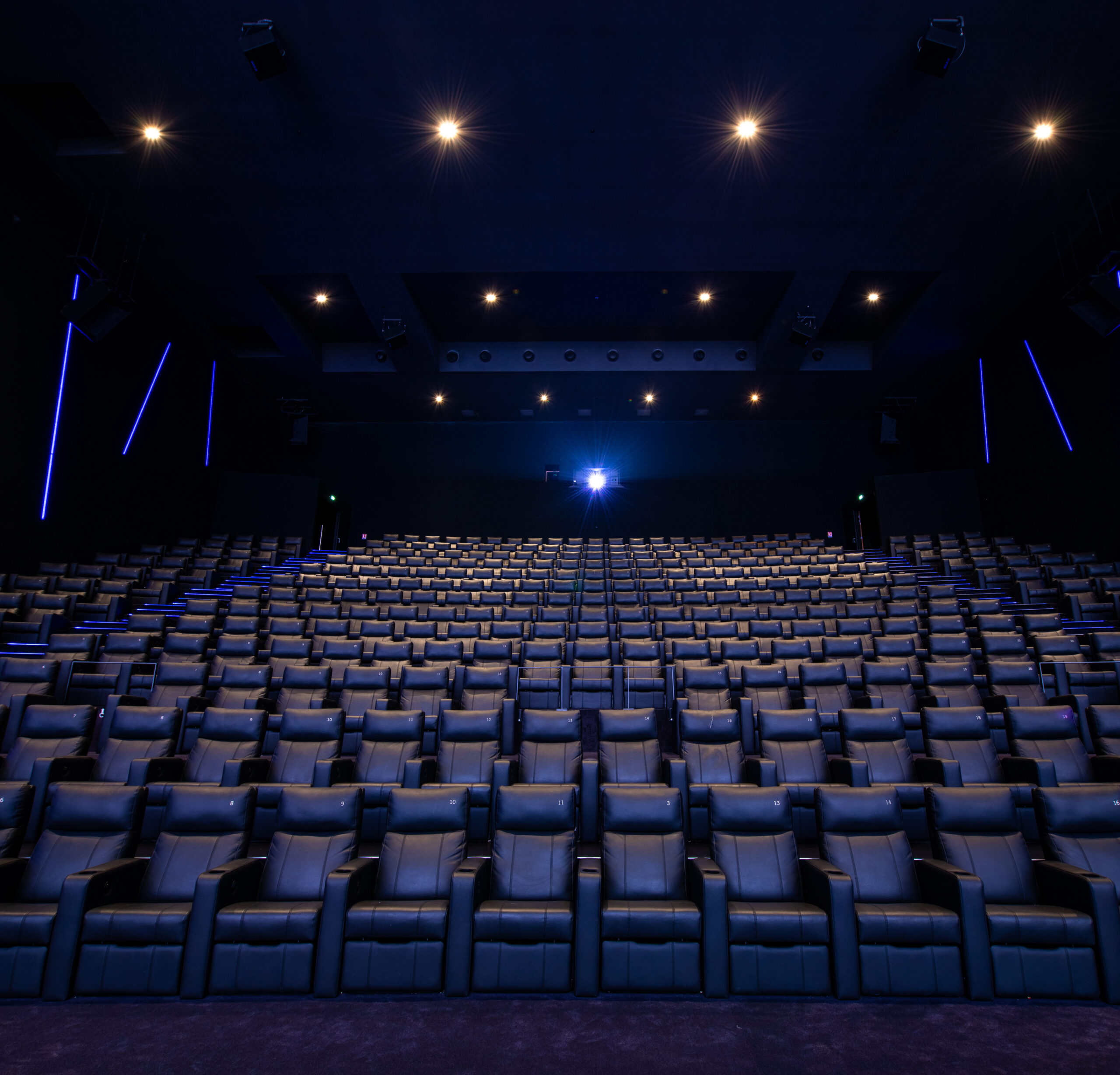 Grande salle de cinéma équipée de fauteuils en cuir noir et de la technologie Dolby.