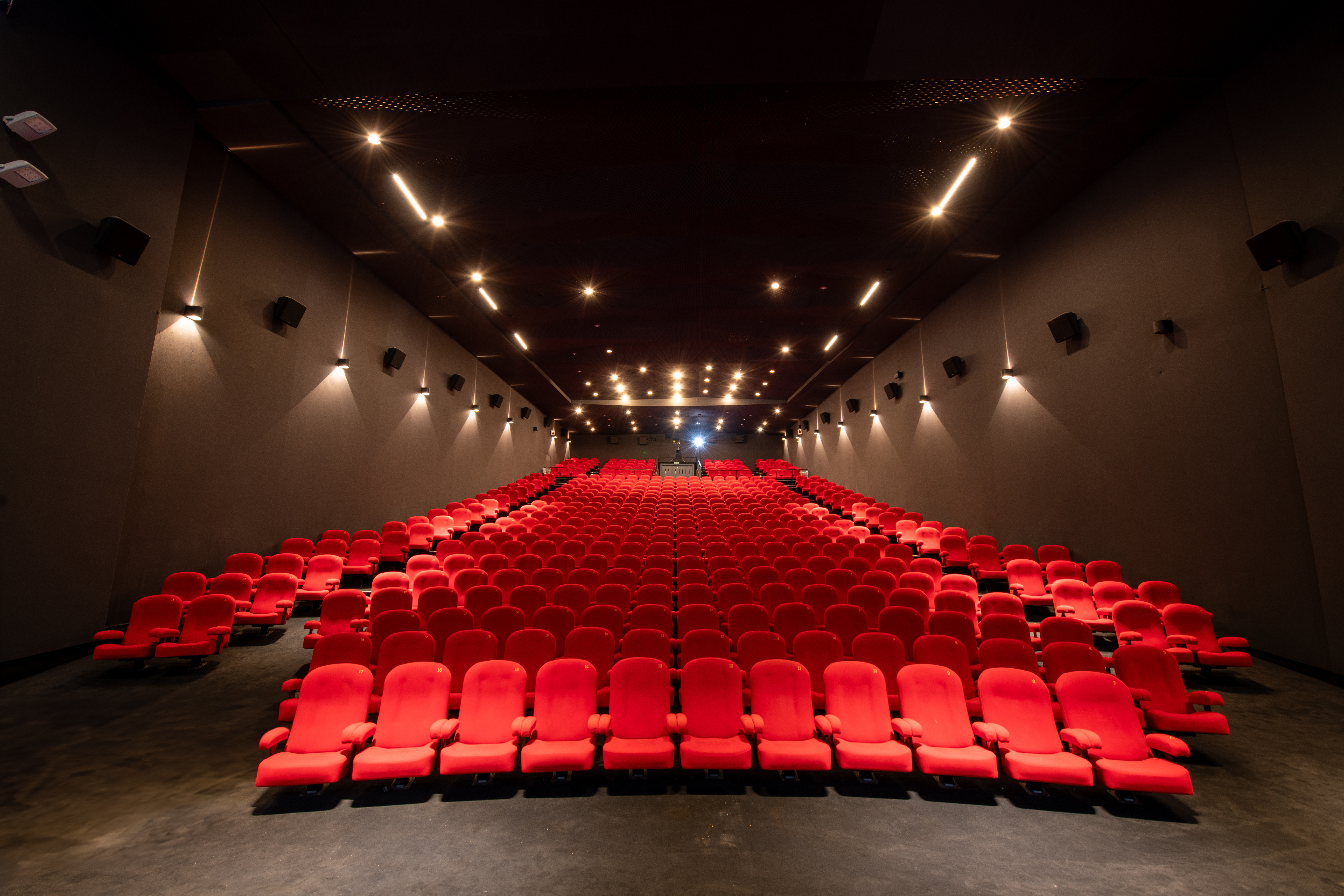 Vu d'ensemble de face d'une grande salle avec ses fauteuils en velours rouge.