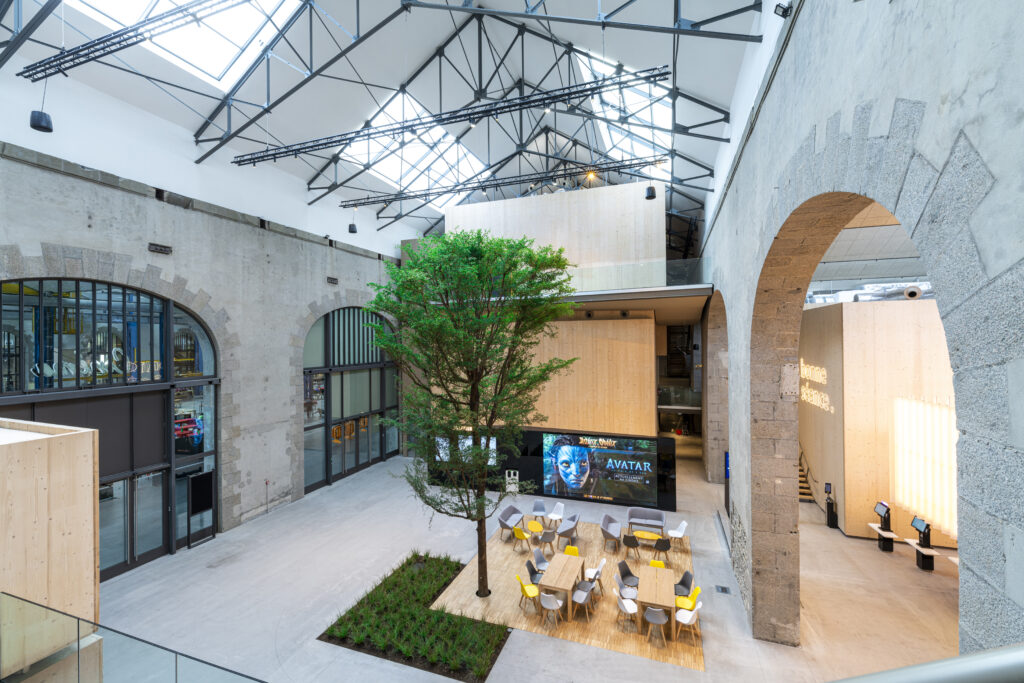 Grand espace intérieur lumineux avec un toit en verrière, mêlant murs en pierre et cloisons en bois clair. Au centre, un arbre vert est entouré d’un espace de convivialité avec des tables en bois et des chaises grises et jaunes.