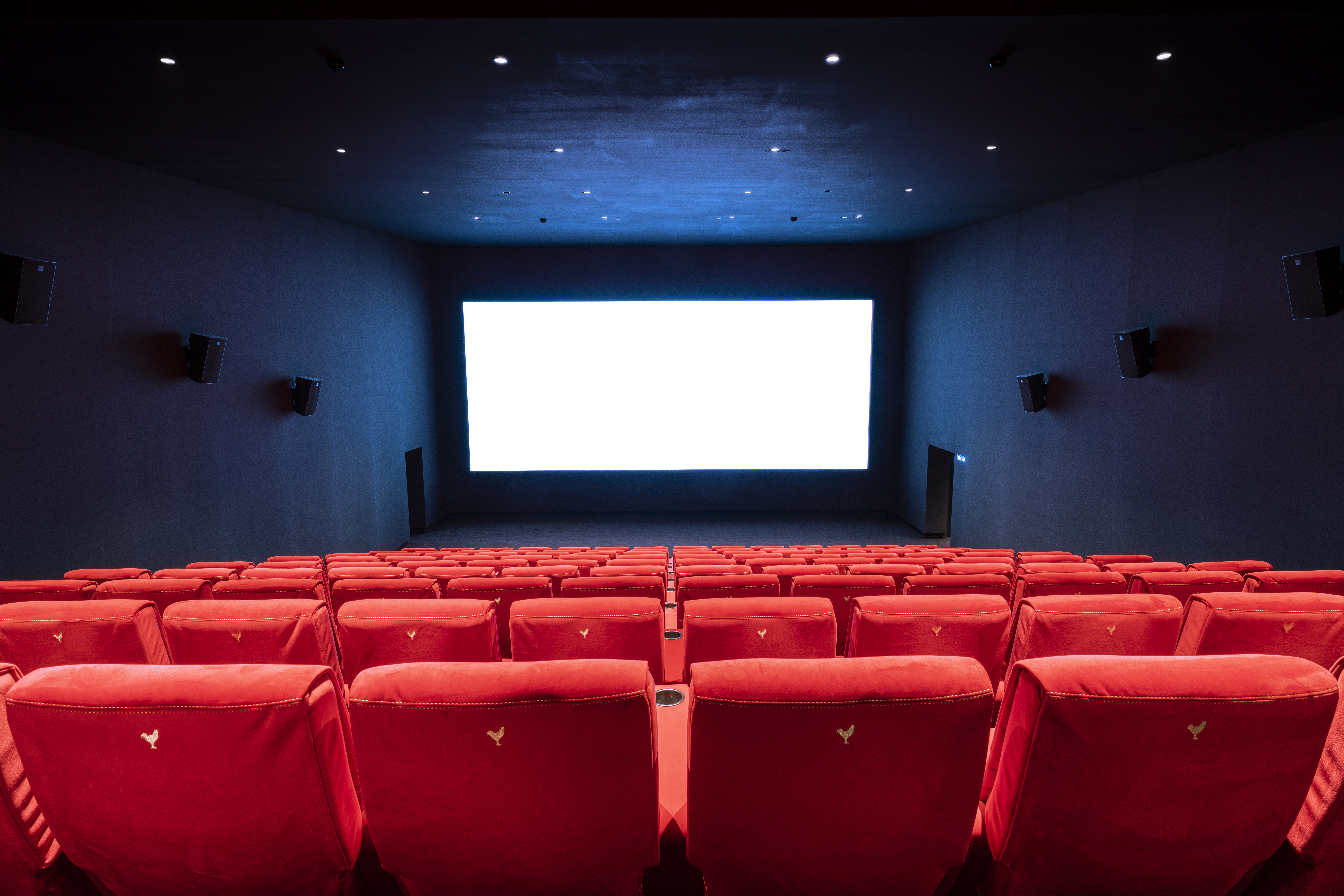 Vue depuis l’arrière d'une salle du cinéma Pathé avec ses rangées de fauteuils en velours rouges orientés vers l’écran.