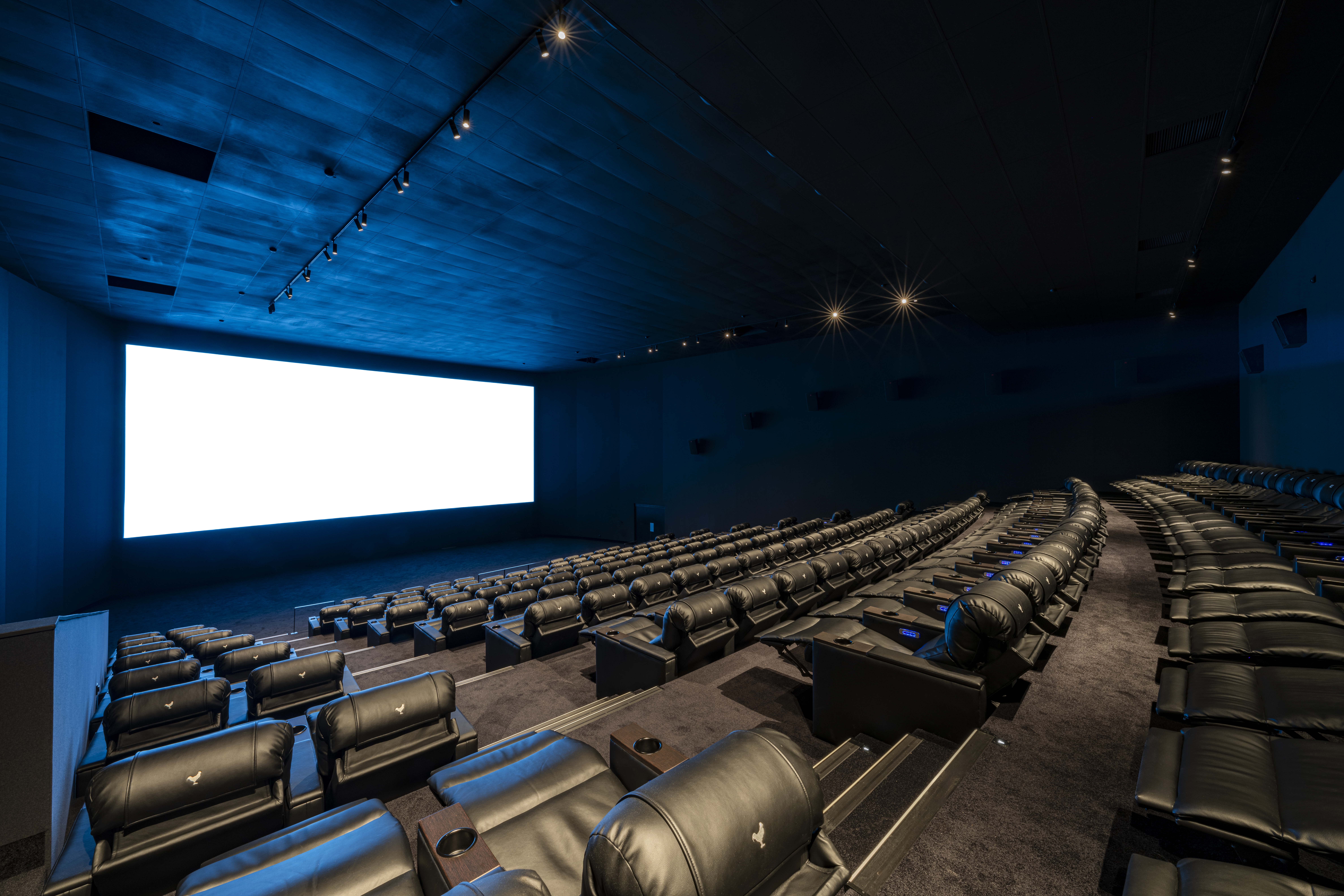 Grande salle de cinéma équipée de fauteuils en cuir noir et de la technologie IMAX.
