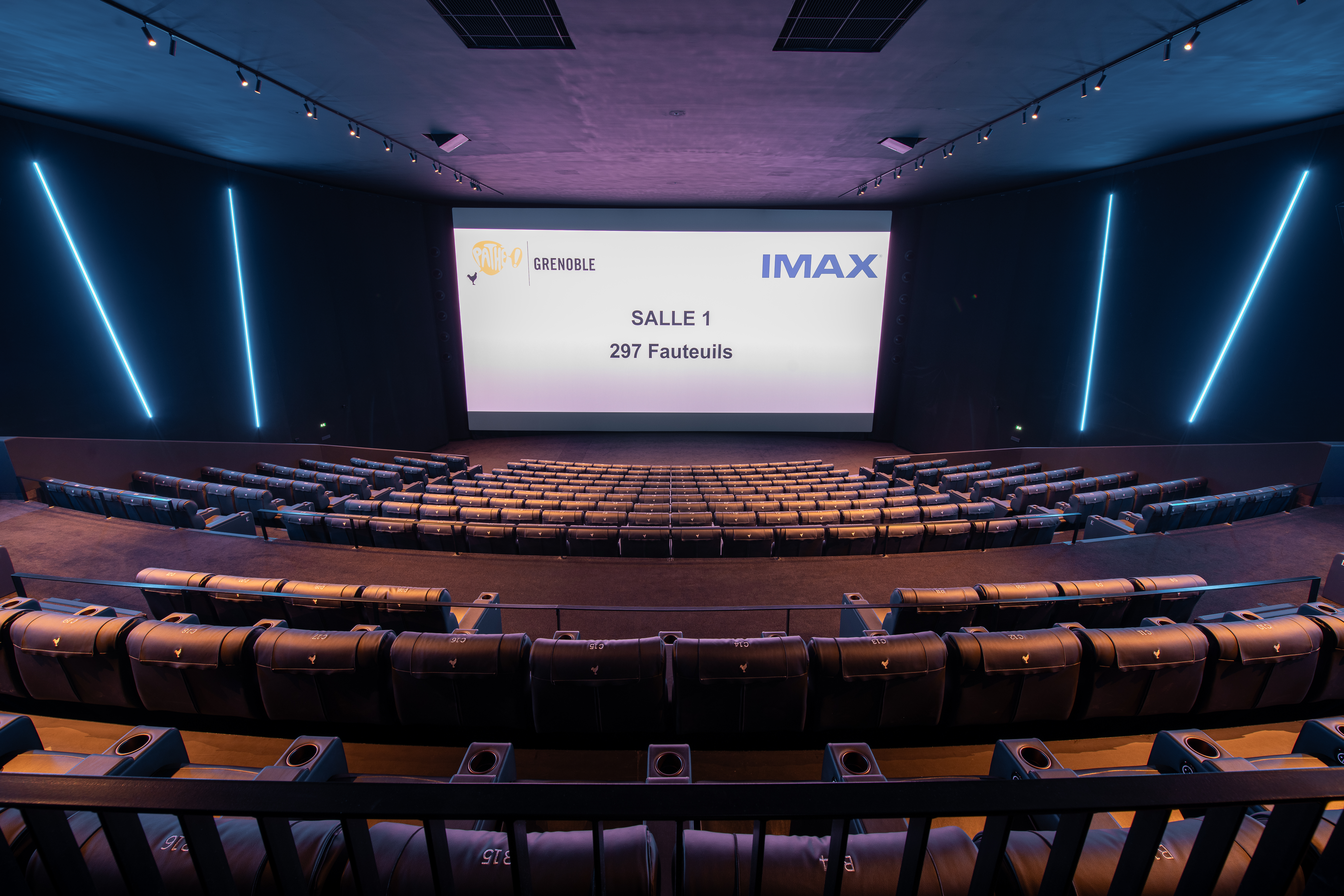 Grande salle de cinéma équipée de fauteuils en cuir noir et de la technologie IMAX.