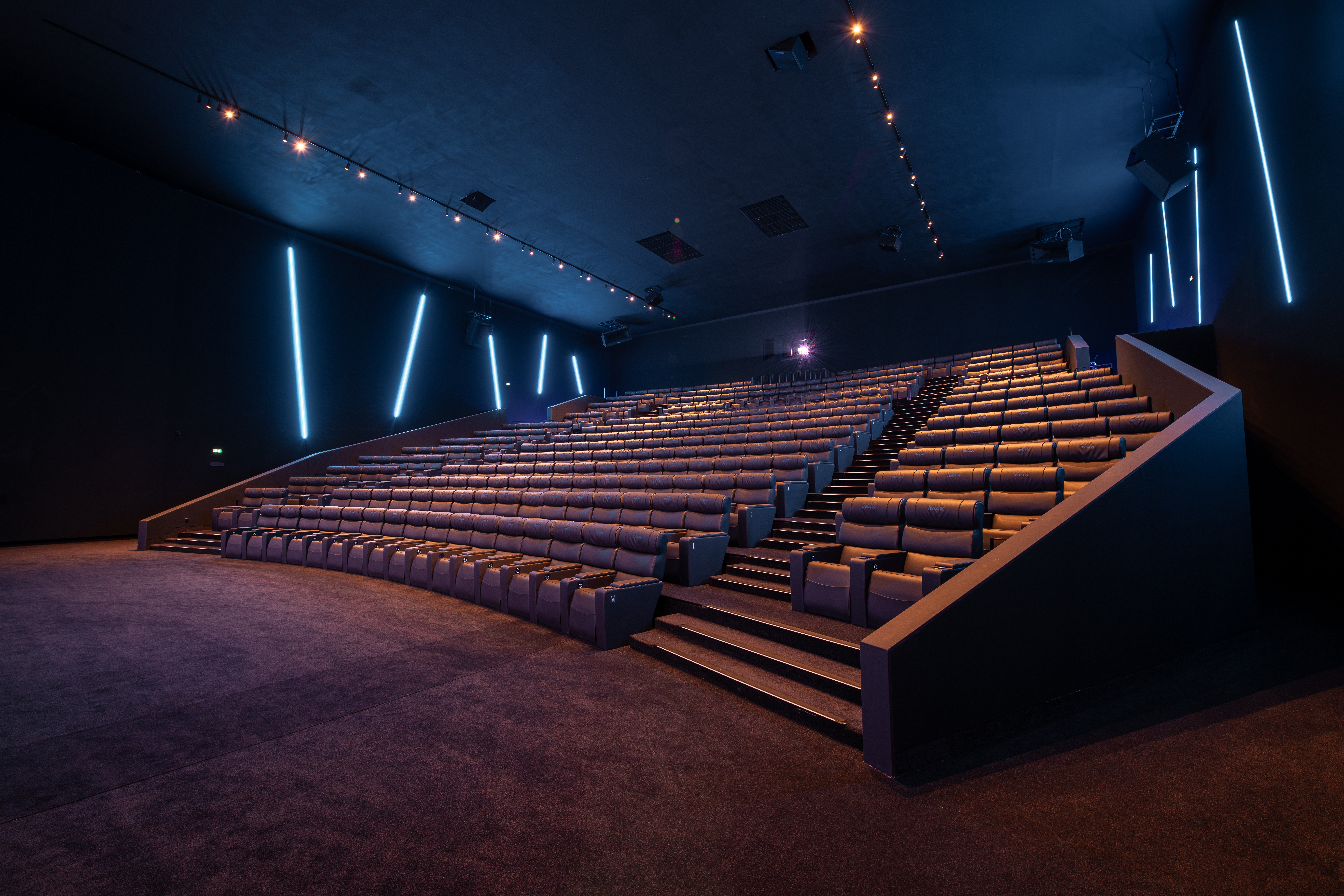 Grande salle de cinéma équipée de fauteuils en cuir noir et de la technologie IMAX.