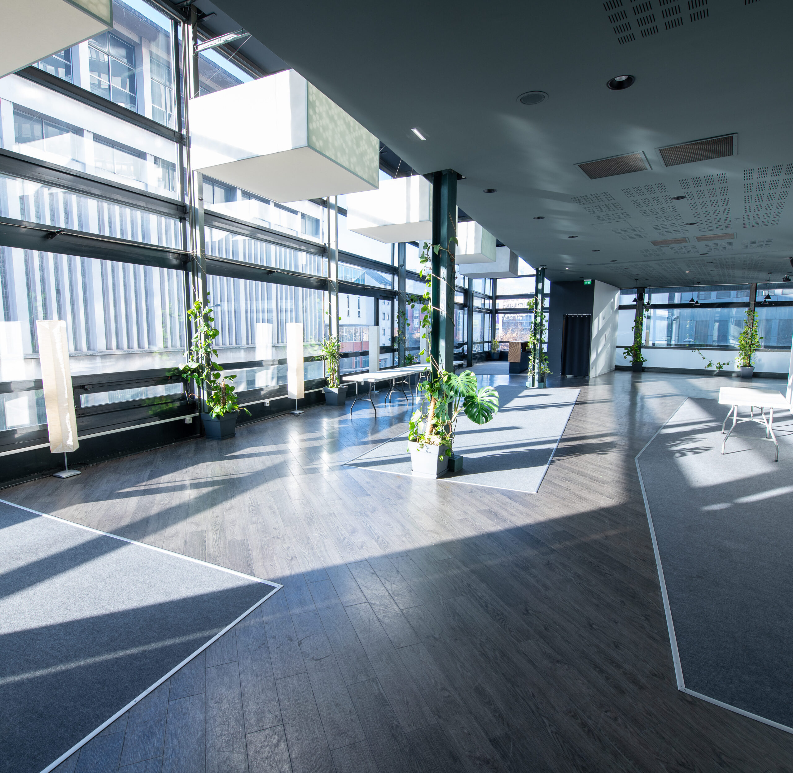 Grande salle lumineuse avec parquet sombre, larges baies vitrées et plantes vertes en pots. L’espace est spacieux et moderne, offrant une vue sur l’extérieur.
