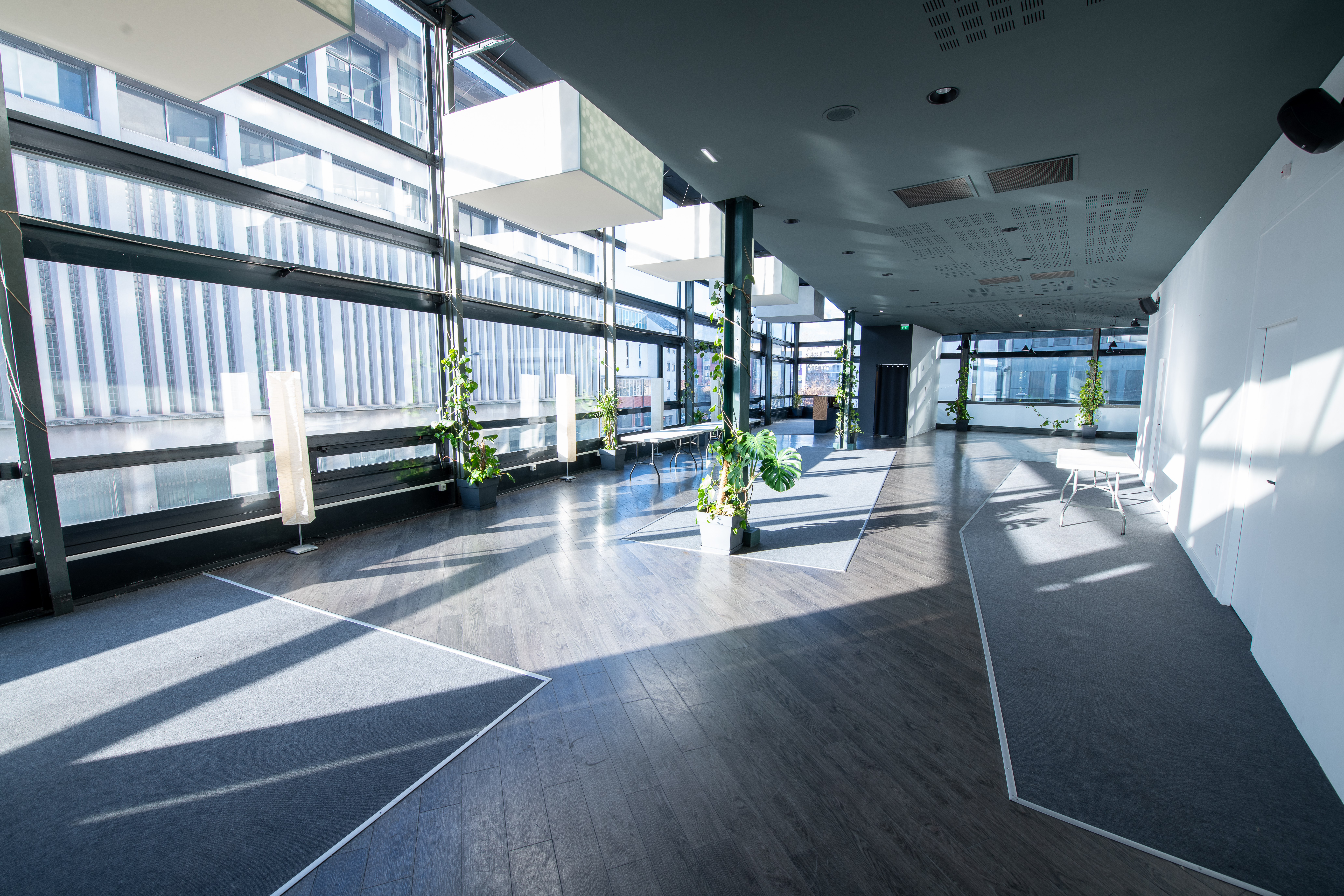 Grande salle lumineuse avec parquet sombre, larges baies vitrées et plantes vertes en pots. L’espace est spacieux et moderne, offrant une vue sur l’extérieur.