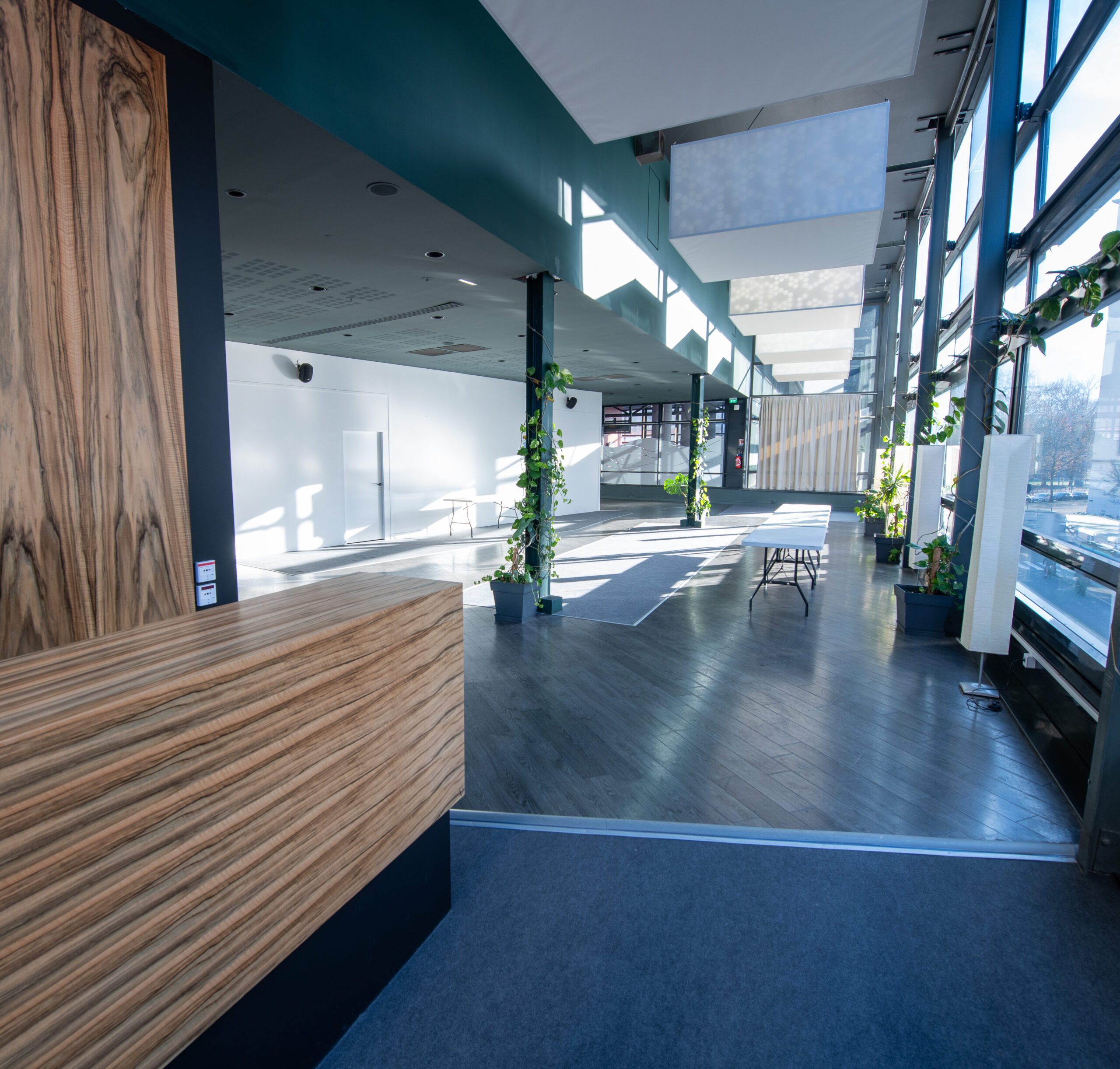 Espace de réception lumineux du cinéma avec mobilier en bois, grandes baies vitrées et décorations végétales.
