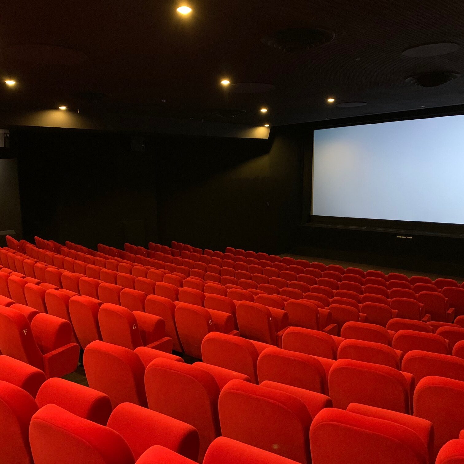 Vue depuis l’arrière de la salle de cinéma Pathé avec rangées de fauteuils en velours rouges orientés vers l’écran blanc.