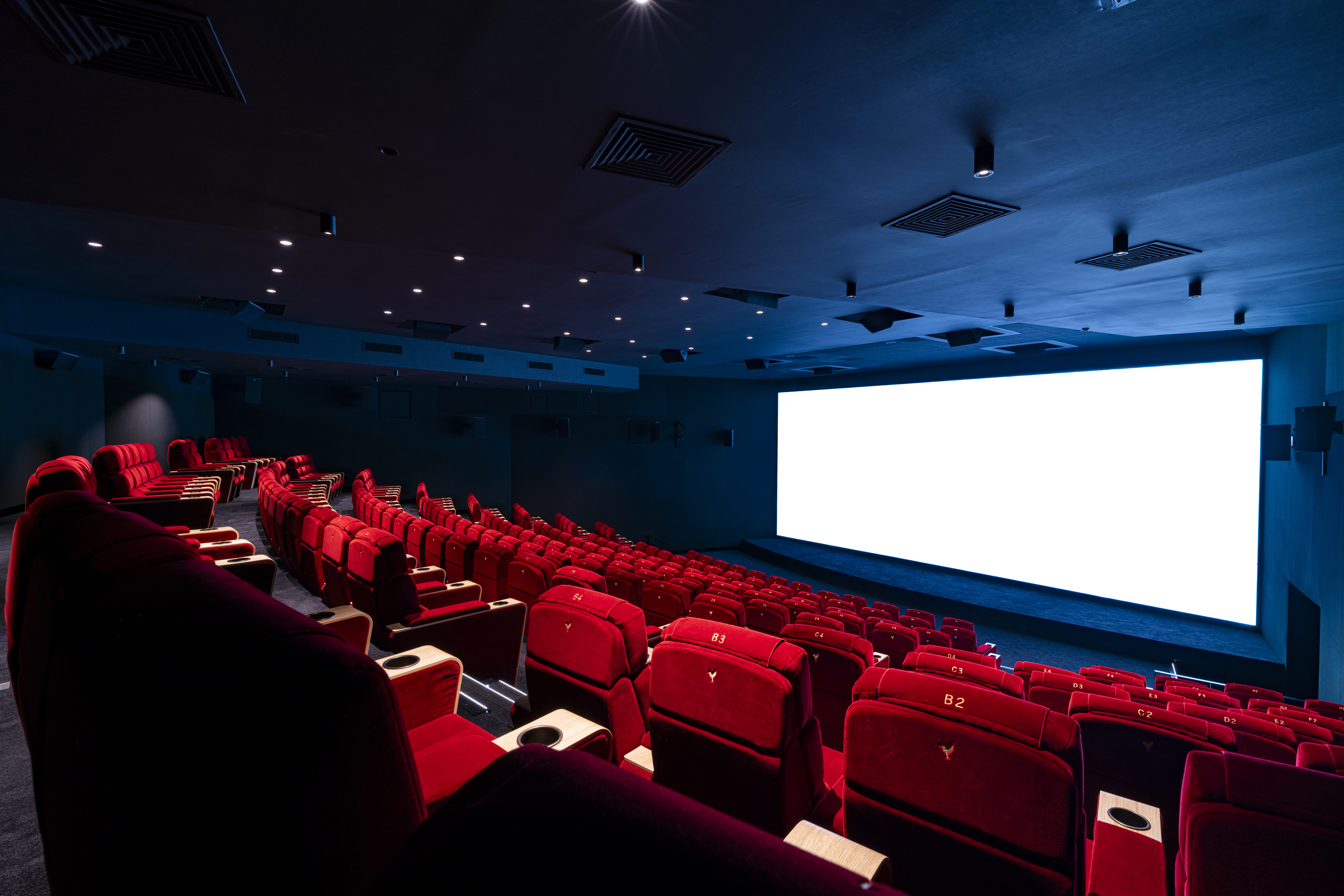 Vue depuis l’arrière d'une salle de cinéma avec ses rangées de fauteuils en velours rouges orientés vers l’écran.