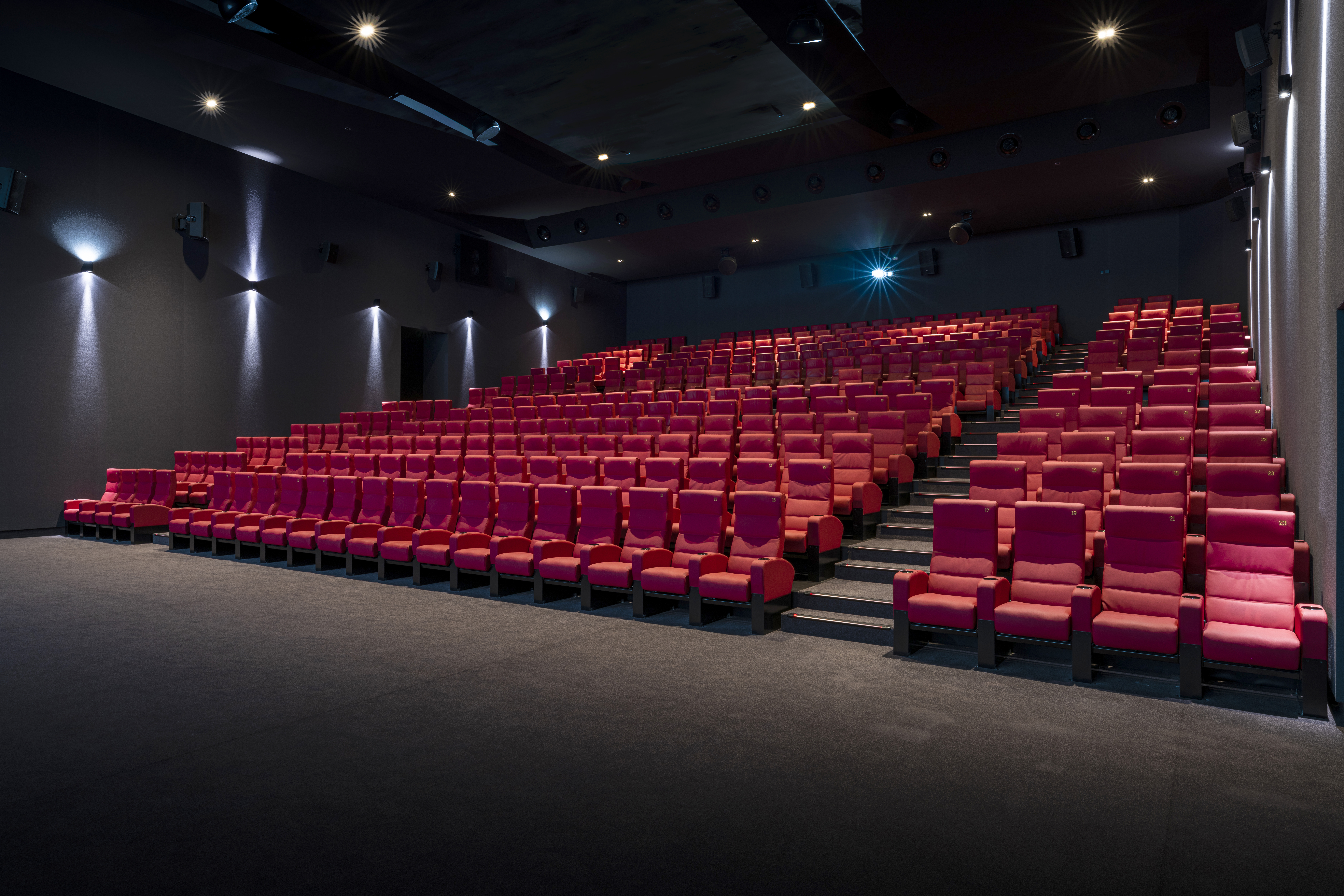 Vue latérale de la salle de cinéma montrant les fauteuils en velours rouges et l’agencement des rangées ainsi qu'une partie de son espace scénique.